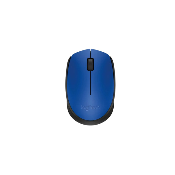 LOGITECH Wireless Mouse M171 - EMEA - BLUE-afaaqstores