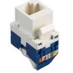 Prolink 1G Rotating Tooless Connection Module Cat6 UTP – Blue-afaaqstores