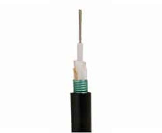Prolink Single Armor Central Loose Tube Fiber Cable 12 Core-afaaqstores