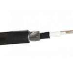 Prolink Single Armor Central Loose Tube Fiber Cable 24 CORE-afaaqstores