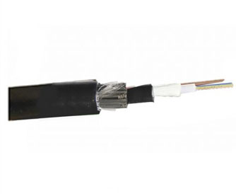 Prolink Single Armor Central Loose Tube Fiber Cable 24 CORE-afaaqstores